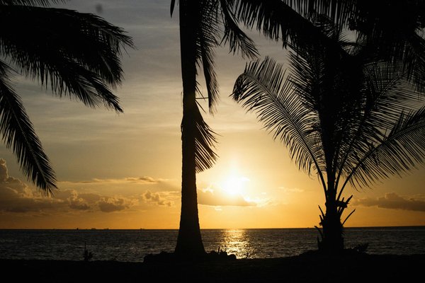 Discover Belfast on a Budget: Unmissable Free and Affordable Cultural Experiences for Travelers